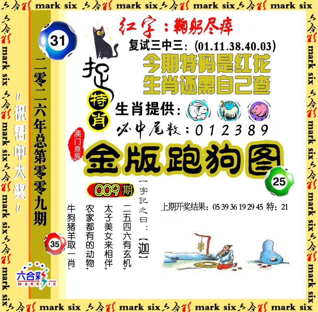 114116.jpg (1028��1008)