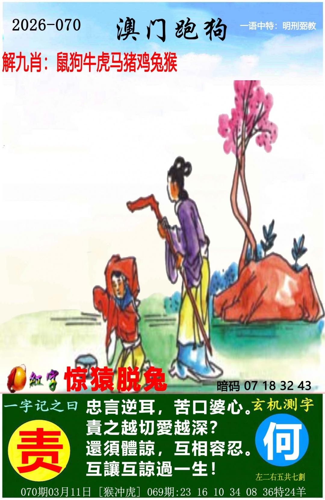 ampgt.jpg (1080��1659)