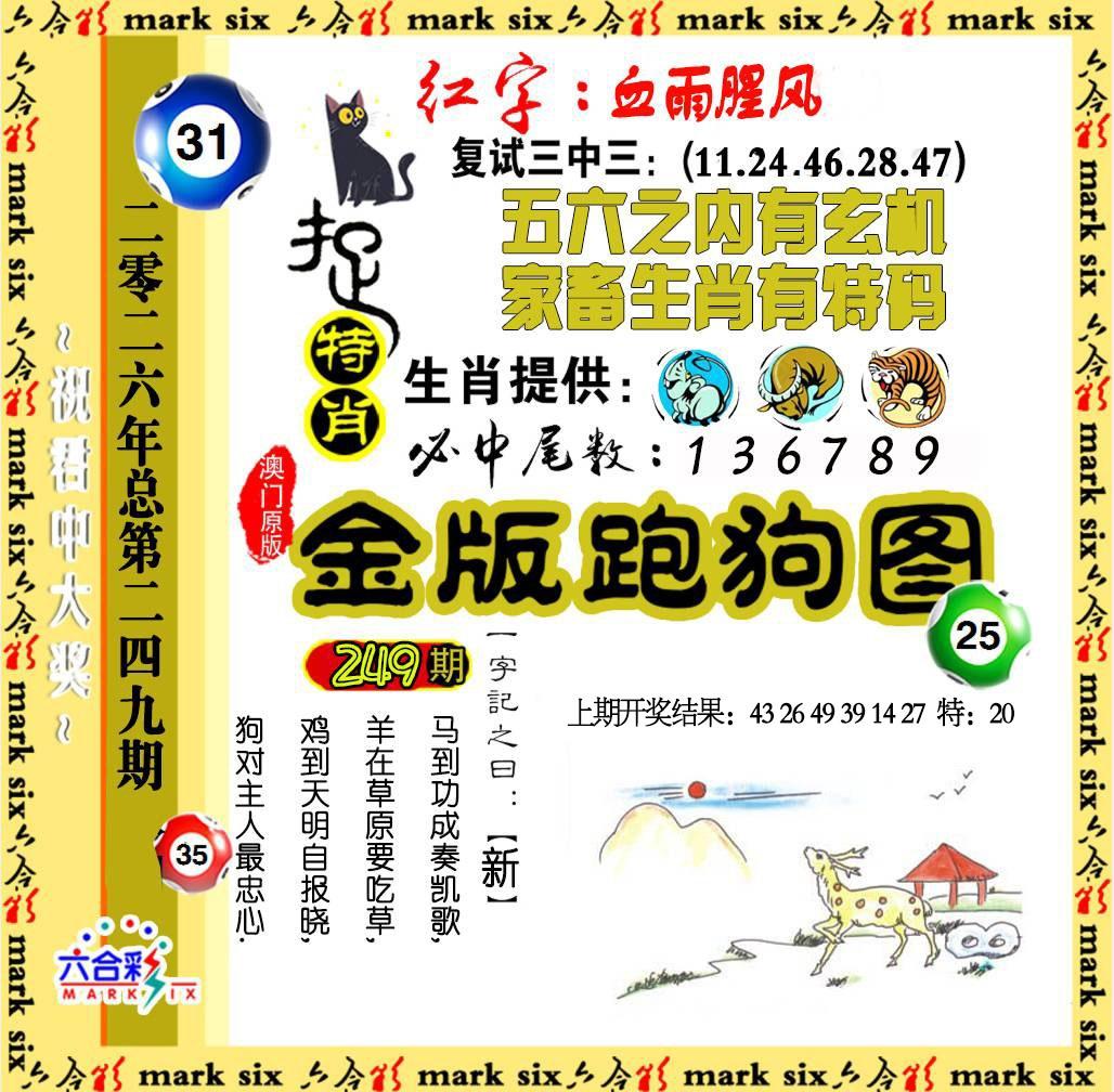 114116.jpg (1028��1008)